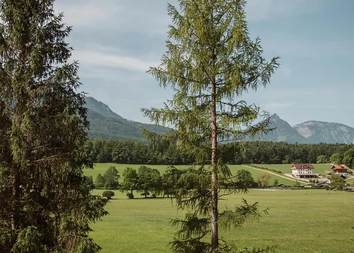 Hoamhaus