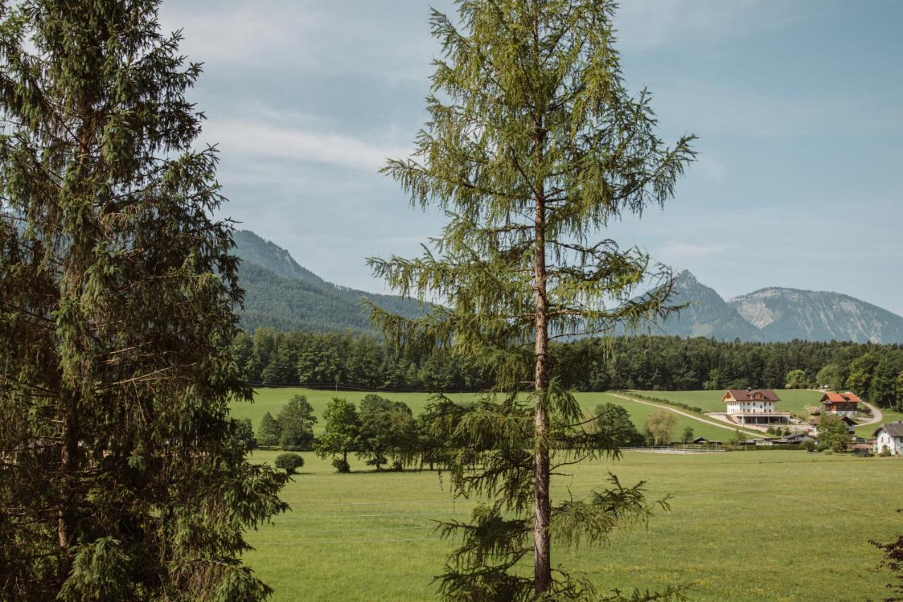 Apartment Hoamhaus Sankt Wolfgang im Salzkammergut